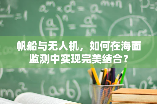 帆船与无人机，如何在海面监测中实现完美结合？
