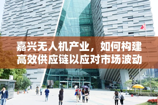 嘉兴无人机产业，如何构建高效供应链以应对市场波动？