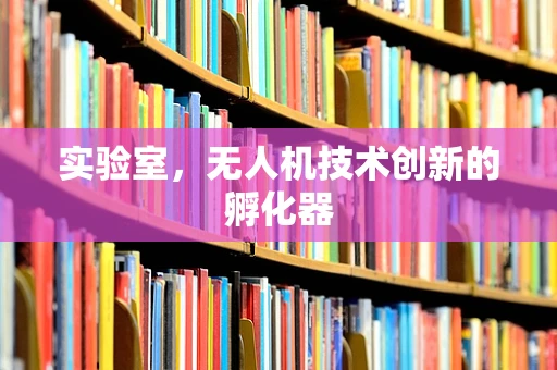 实验室，无人机技术创新的孵化器