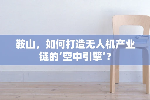 鞍山，如何打造无人机产业链的‘空中引擎’？