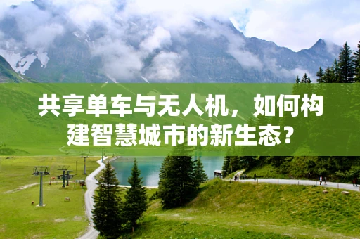 共享单车与无人机，如何构建智慧城市的新生态？