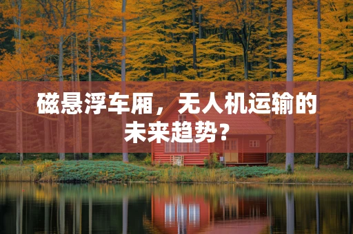 磁悬浮车厢，无人机运输的未来趋势？