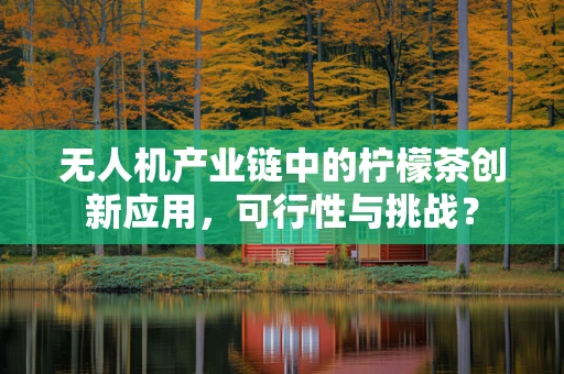 无人机产业链中的柠檬茶创新应用，可行性与挑战？