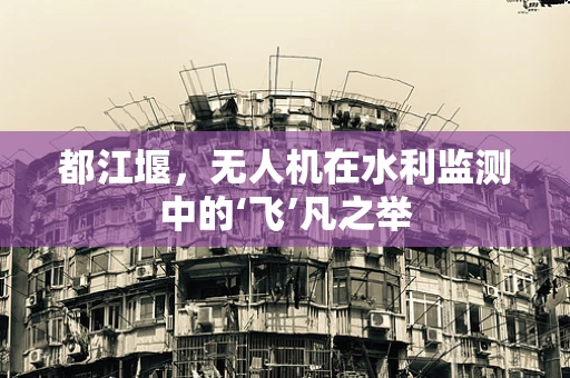 都江堰，无人机在水利监测中的‘飞’凡之举
