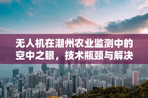 无人机在潮州农业监测中的空中之眼，技术瓶颈与解决方案