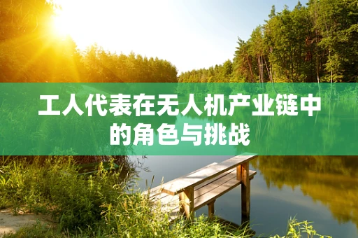 工人代表在无人机产业链中的角色与挑战