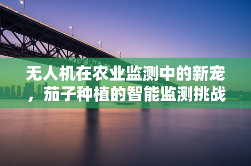 无人机在农业监测中的新宠，茄子种植的智能监测挑战