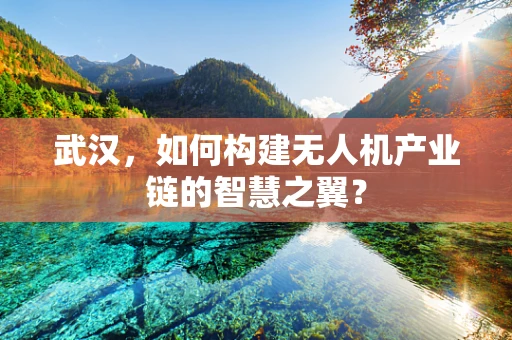 武汉，如何构建无人机产业链的智慧之翼？