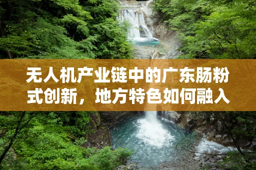 无人机产业链中的广东肠粉式创新，地方特色如何融入全球技术潮流？