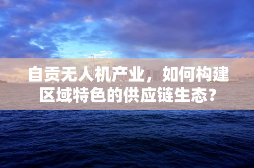 自贡无人机产业，如何构建区域特色的供应链生态？