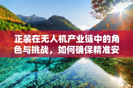 正装在无人机产业链中的角色与挑战，如何确保精准安装与飞行安全？