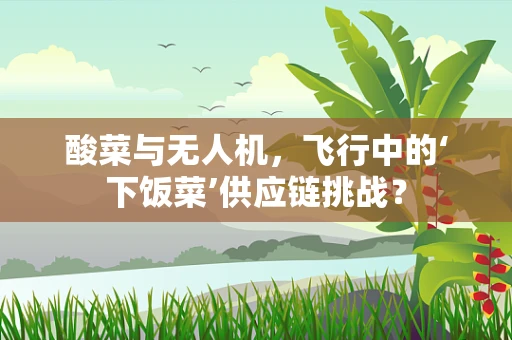 酸菜与无人机，飞行中的‘下饭菜’供应链挑战？