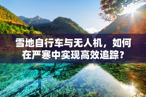 雪地自行车与无人机，如何在严寒中实现高效追踪？