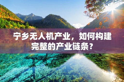 宁乡无人机产业，如何构建完整的产业链条？