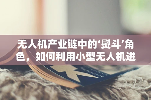 无人机产业链中的‘熨斗’角色，如何利用小型无人机进行精准农业的智能灌溉管理？