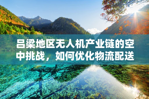 吕梁地区无人机产业链的空中挑战，如何优化物流配送效率？