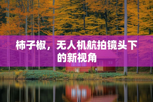 柿子椒，无人机航拍镜头下的新视角