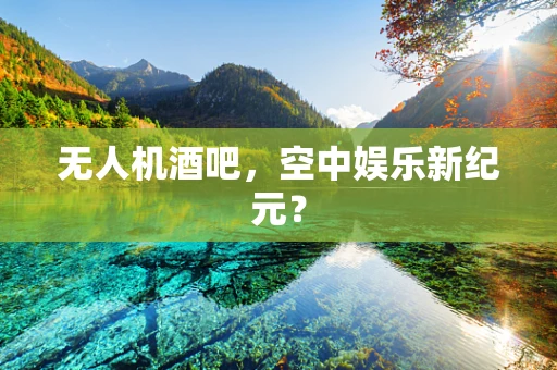无人机酒吧，空中娱乐新纪元？