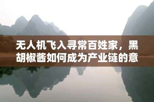 无人机飞入寻常百姓家，黑胡椒酱如何成为产业链的意外调味剂？