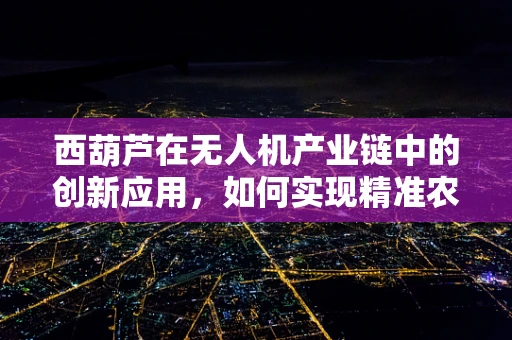 西葫芦在无人机产业链中的创新应用，如何实现精准农业的‘空中眼’？