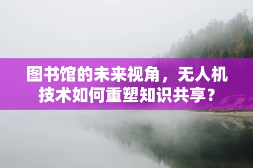 图书馆的未来视角，无人机技术如何重塑知识共享？
