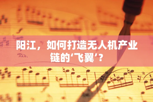阳江，如何打造无人机产业链的‘飞翼’？