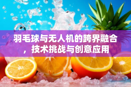 羽毛球与无人机的跨界融合，技术挑战与创意应用