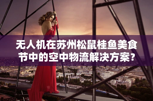 无人机在苏州松鼠桂鱼美食节中的空中物流解决方案？