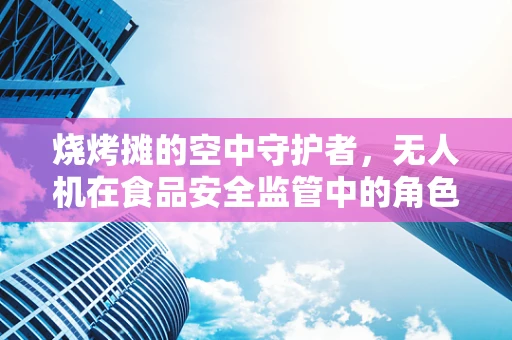 烧烤摊的空中守护者，无人机在食品安全监管中的角色