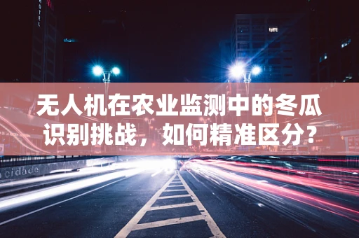 无人机在农业监测中的冬瓜识别挑战，如何精准区分？