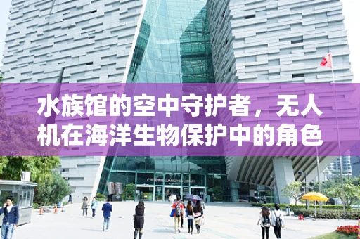 水族馆的空中守护者，无人机在海洋生物保护中的角色与挑战