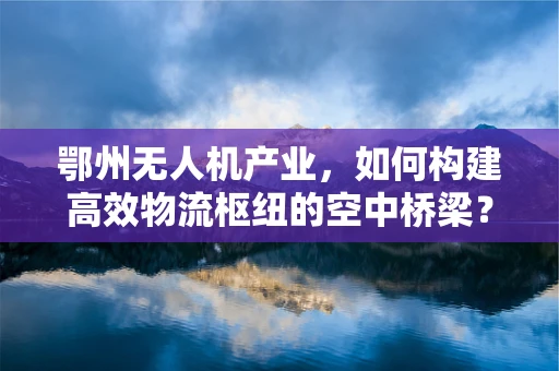 鄂州无人机产业，如何构建高效物流枢纽的空中桥梁？