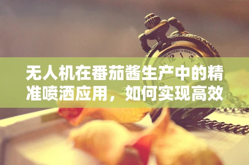 无人机在番茄酱生产中的精准喷洒应用，如何实现高效与环保的双重提升？