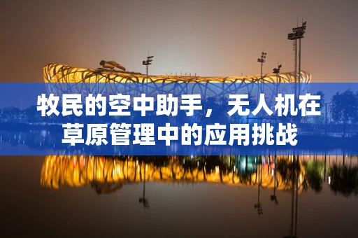 牧民的空中助手，无人机在草原管理中的应用挑战