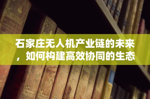 石家庄无人机产业链的未来，如何构建高效协同的生态系统？