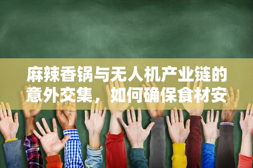麻辣香锅与无人机产业链的意外交集，如何确保食材安全监控的‘空中视角’？