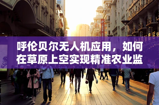 呼伦贝尔无人机应用，如何在草原上空实现精准农业监测？