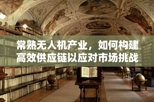 常熟无人机产业，如何构建高效供应链以应对市场挑战？