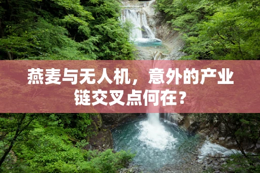 燕麦与无人机，意外的产业链交叉点何在？
