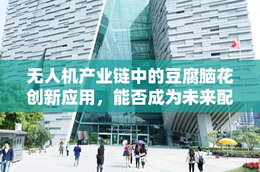 无人机产业链中的豆腐脑花创新应用，能否成为未来配送新宠？