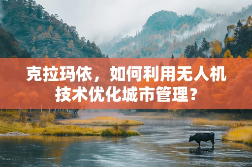 克拉玛依，如何利用无人机技术优化城市管理？