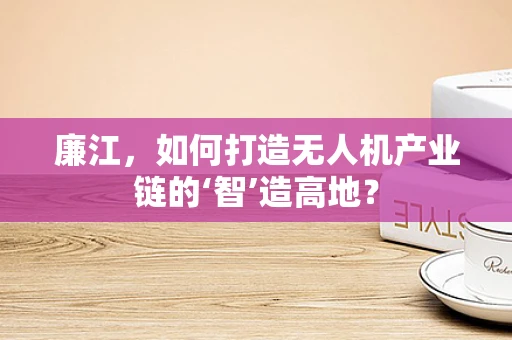 廉江，如何打造无人机产业链的‘智’造高地？