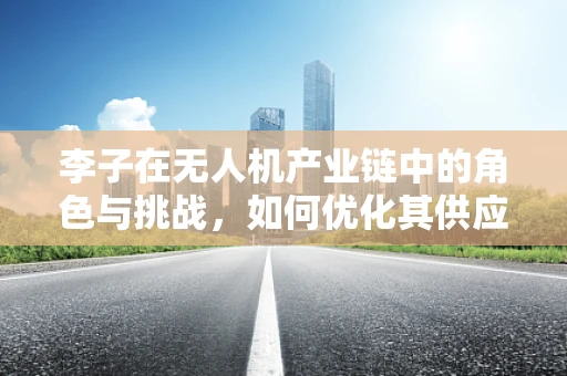 李子在无人机产业链中的角色与挑战，如何优化其供应链管理？