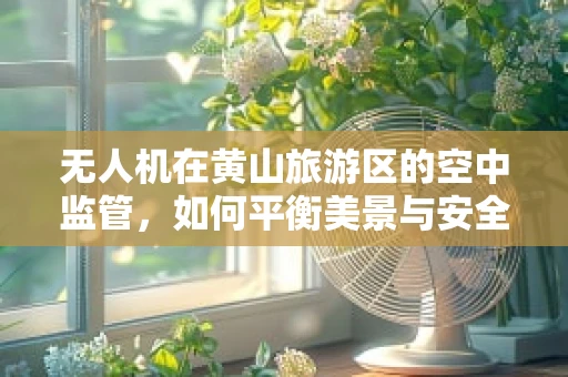 无人机在黄山旅游区的空中监管，如何平衡美景与安全？