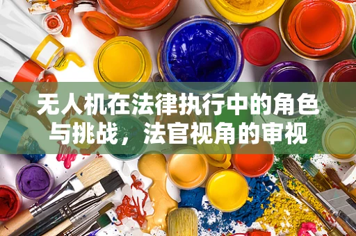 无人机在法律执行中的角色与挑战，法官视角的审视