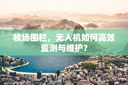 牧场围栏，无人机如何高效监测与维护？