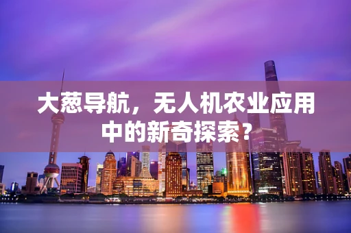 大葱导航，无人机农业应用中的新奇探索？