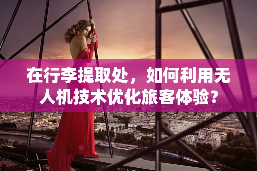 在行李提取处，如何利用无人机技术优化旅客体验？