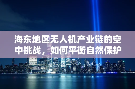 海东地区无人机产业链的空中挑战，如何平衡自然保护与经济发展？