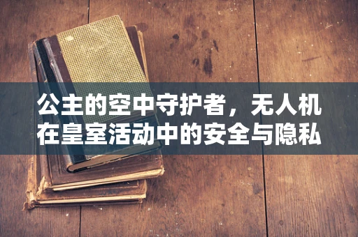 公主的空中守护者，无人机在皇室活动中的安全与隐私保护